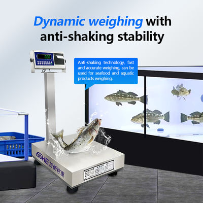 Anpassungsfähige 200 kg Stahleschalen mit wasserdichtem Design und Druckfunktion