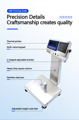A8SP-Druck-Kleine Plattform-Skala mit 6 kg Kapazität und 22cm*28cm Quadrat vertikaler Stange