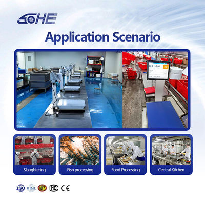 Edelstahl SOHE 60KG 400*500mm Intelligente Waage für Schlacht- und Fleischschneiden