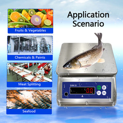 SOHE S5 3KG Edelstahlskala mit Dual-LED-Display und IP68-Wasserdichte