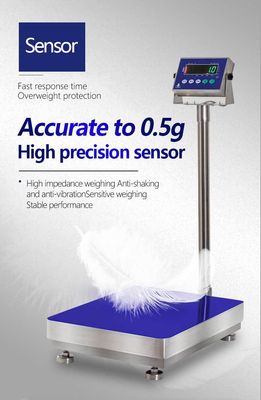 LED-Display 300kg SOHE A1S Wasserdichte Skala für Lebensmittelfabriken 500*600mm Waschbar