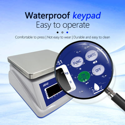 8V/1A Stromversorgung Wasserdichte Skala mit Dual-Screen-Display und Präzisionssensor