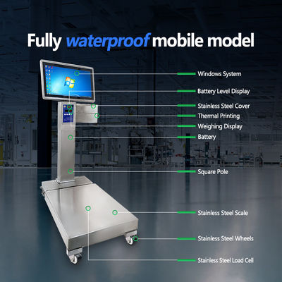 OBM-Anpassungsunterstützung mobile Edelstahl-Industrieskala mit 800 kg Kapazität