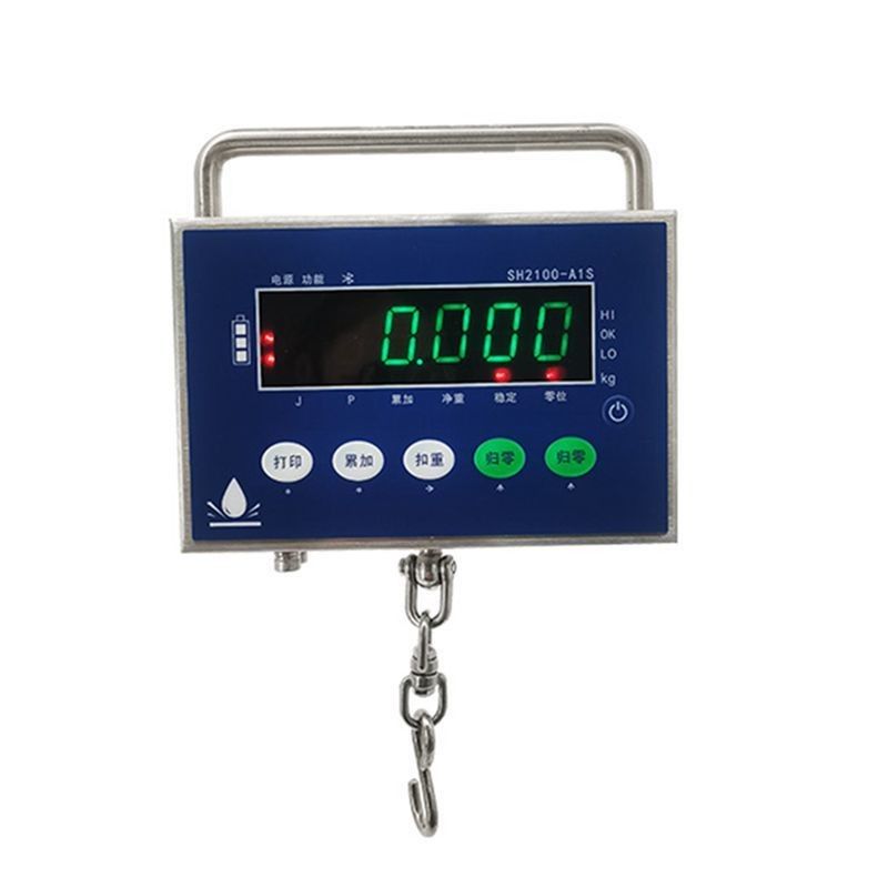 Personalisierte OBM-Unterstützung 20kg Digitale Anzeige Hakenskala mit tragbaren LED-LCD-Anzeige